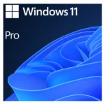 Microsoft Windows 11 Pro 64-bit OEM DVD | Single License | DSP OEI | Business Edition | SKU FQC-10528